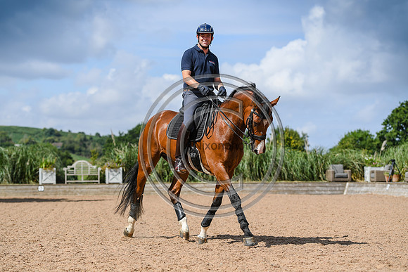 Collective Equestrian