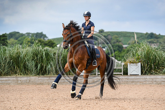 Collective Equestrian