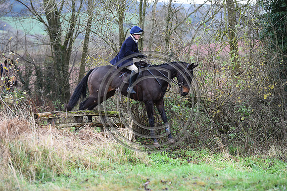 Ludlow_Hunting_214