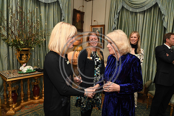 DUCHESS OF CORNWALL_BEF_PN22_11031