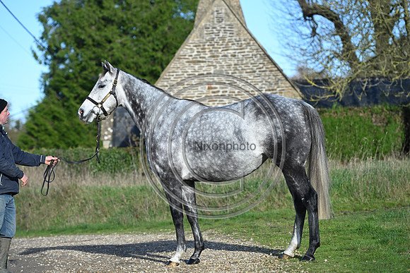 Mare_Selwood_PN51