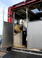 OlympicHorses_08KH273