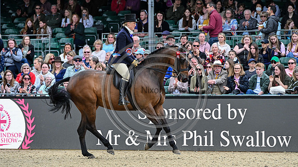 Rosemore Midnight_RWHS_PN24_132349-2
