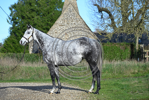 Mare_Selwood_PN57