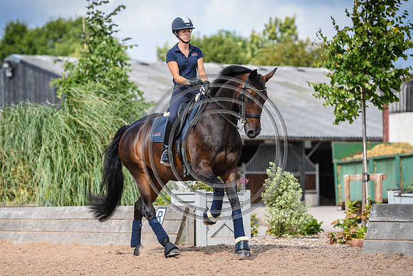 Collective Equestrian