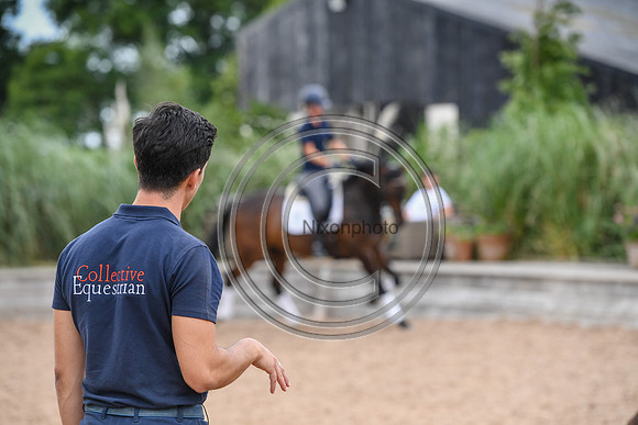 Collective Equestrian