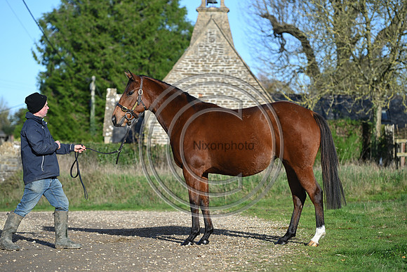 Mare_Selwood_PN72