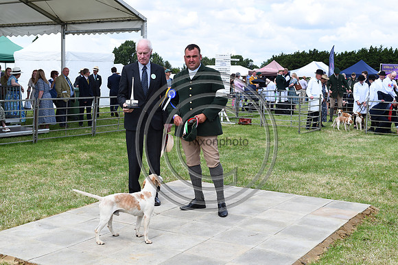Festival of Hounds 2024