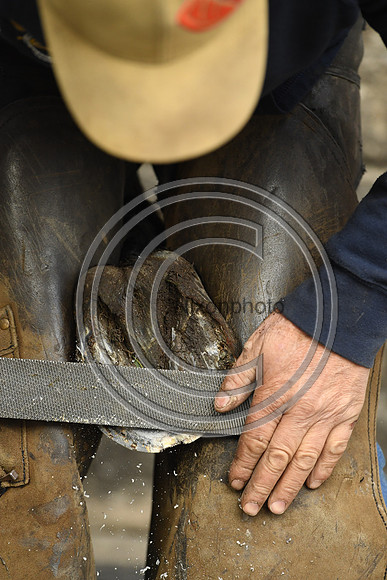 Nigel Perrott_Farrier_PN20_51867