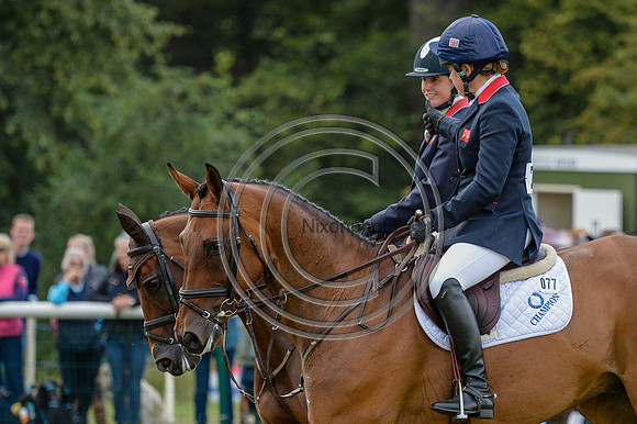 Scenes in the collecting_LRBHT_PN19_132380