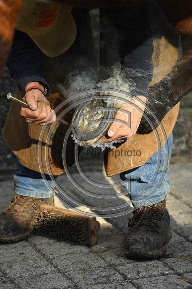 Nigel Perrott_Farrier_PN20_51882