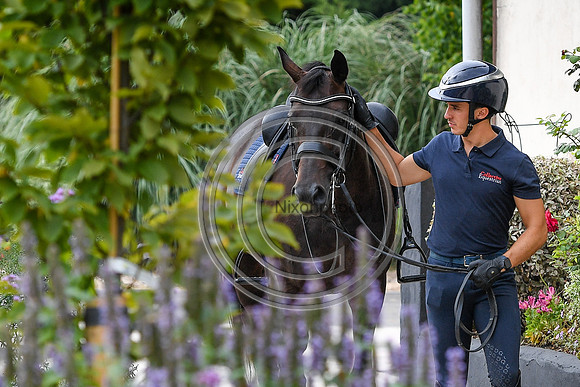 Collective Equestrian
