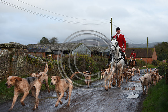 Ludlow_Hunting_63