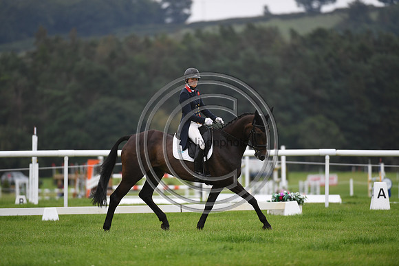 Izzy Taylor_SBH BIG WALL_BHT_PN22_81311