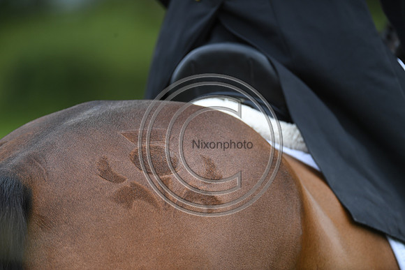 Lewis Mclean_LISSYEGAN MIKIE LOU_BHT_PN22_81375