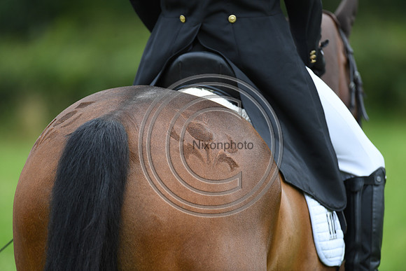 Lewis Mclean_LISSYEGAN MIKIE LOU_BHT_PN22_81376