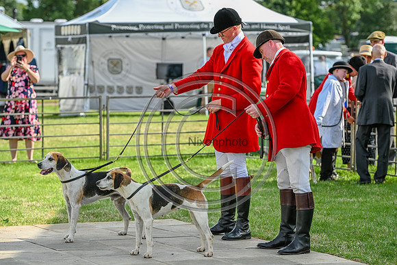 Festival of Hounds 2024
