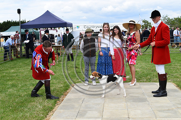 Festival of Hounds 2024