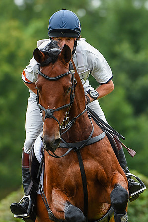 HorseNo866_Aston3_20PN_70834