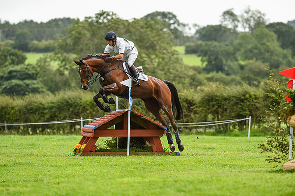 HorseNo555_Burgham_20PN_84905