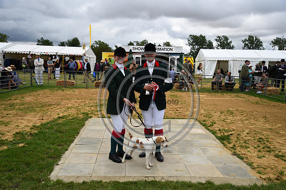 Class01_Beagles_FofH_PN23_81057
