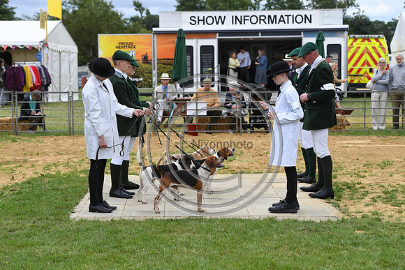 Class03_Beagles_FofH_PN23_79550