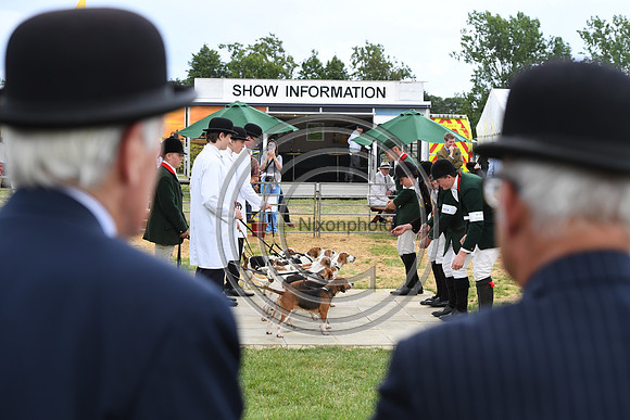 Class12_Beagles_FofH_PN23_80324
