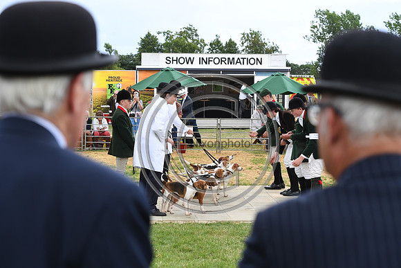 Class12_Beagles_FofH_PN23_80326