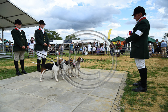 Class13_Beagles_FofH_PN23_80915