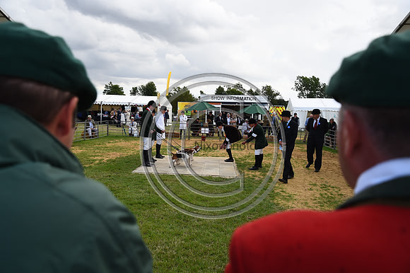 Class16_Beagles_FofH_PN23_80871