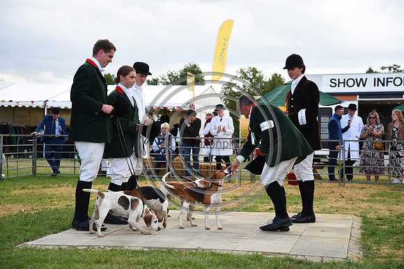 Class17_Beagles_FofH_PN23_81056