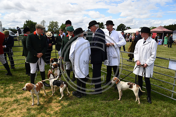 General_Beagles_FofH_PN23_81067