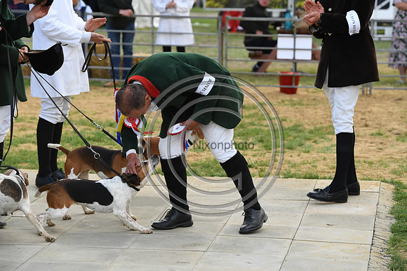 Class16_Beagles_FofH_PN23_80419