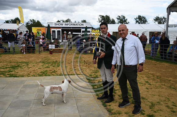 Class06_Beagles_FofH_PN23_80985