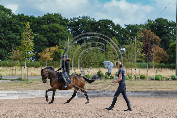Collective Equestrian