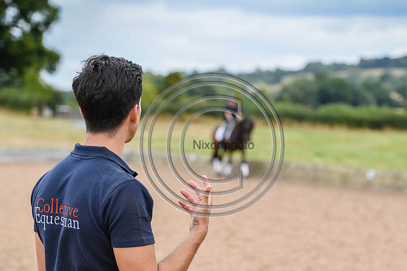 Collective Equestrian