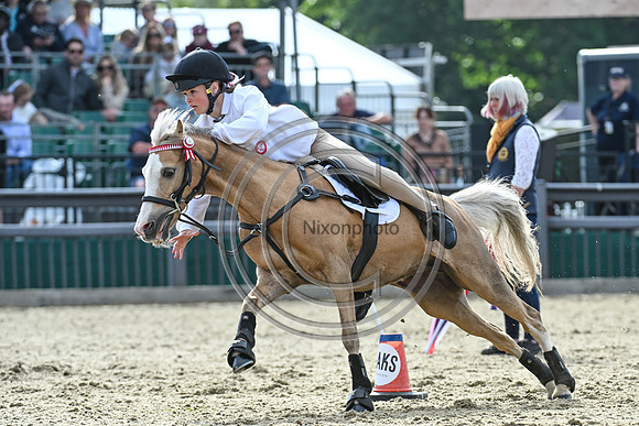 DAKS_PC_RWHS25_P189978