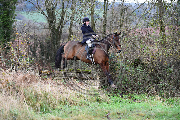 Ludlow_Hunting_18
