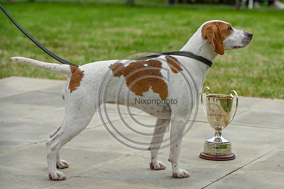 Festival of Hounds 2024