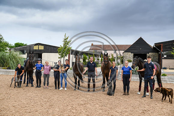 Collective Equestrian