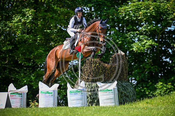 Tom McEwen_CECELIA COBRA_Bicton_PN24_142336