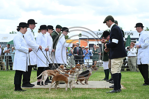 Festival of Hounds 2024