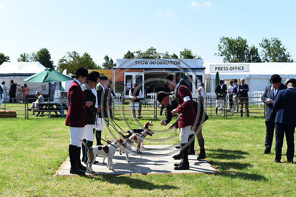 Festival of Hounds 2024
