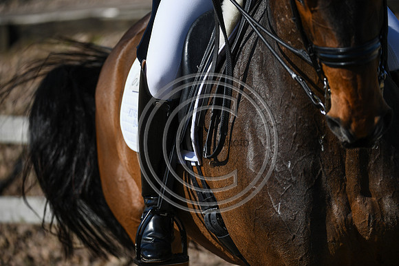 Charlotte Dujardin_MSJ Freestyle_EliteTrainingComp_PN21_1853