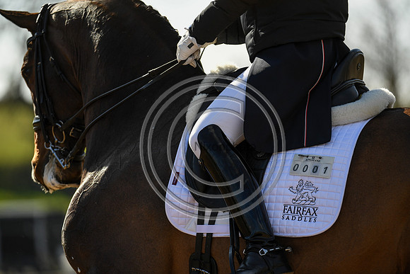Charlotte Dujardin_MSJ Freestyle_EliteTrainingComp_PN21_1858