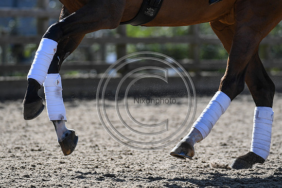 Charlotte Dujardin_MSJ Freestyle_EliteTrainingComp_PN21_1851