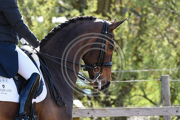 Charlotte Dujardin_MSJ Freestyle_EliteTrainingComp_PN21_1845