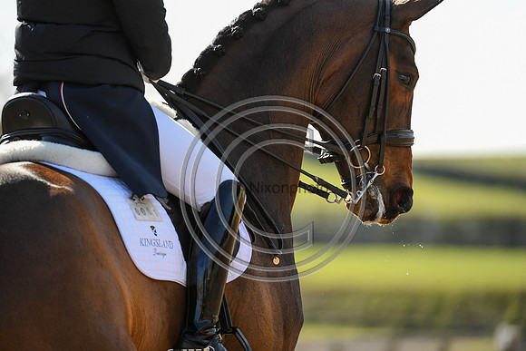 Charlotte Dujardin_MSJ Freestyle_EliteTrainingComp_PN21_1859
