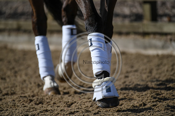 Charlotte Dujardin_MSJ Freestyle_EliteTrainingComp_PN21_1862