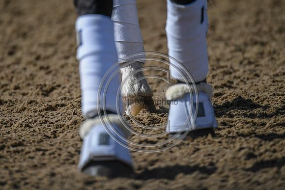Charlotte Dujardin_MSJ Freestyle_EliteTrainingComp_PN21_1863